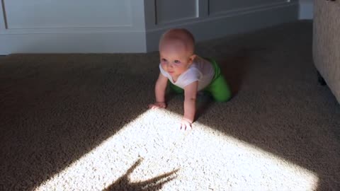 Sweet Baby Is Hilariously Startled By Attacking Shadowy Hand