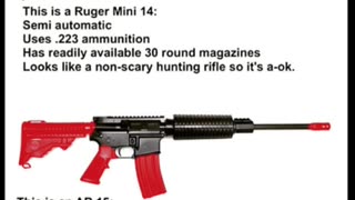 Ar-15 Assault Rifle vs. Ruger Mini 14 Rifle