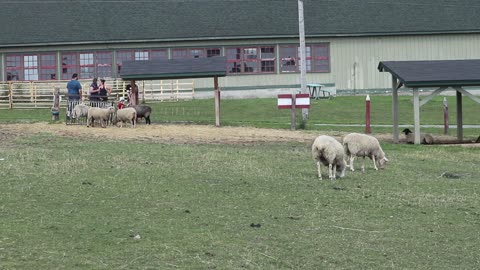 Experimental Farm Ottawa Ontario