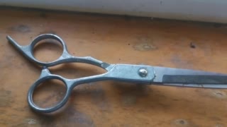 old scissors