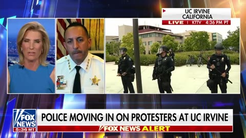 This is 'lawlessness'_ Florida sheriff fox news