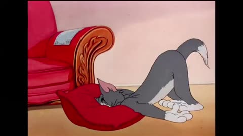 Tom and Jerry's Hilarious Escapades" part 43