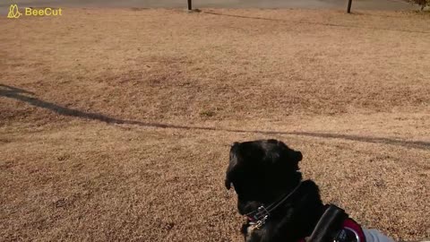 Basking in the sun at a nearby park