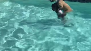 Little Boy Doggy Paddles in The Pool with Big Pup on His Back