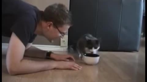Cat Takes Her Food Back From The Human
