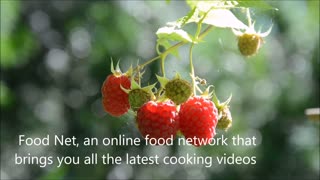 FOOD NET - Cook Health food from the heart