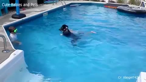 Best Hero Dog Saves Babies Out of The Water Dog Loves Baby