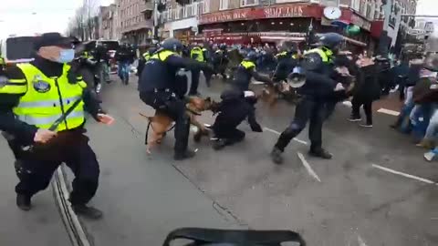 Happening Now: People mauled by police dogs, beaten with batons at unauthorized protest against Covid restrictions in 🇳🇱 Amsterdam. ‼️ Don’t worry it’s for your own protection!!!