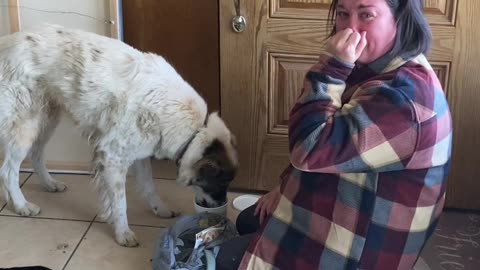 Mom Excited To See Missing Pup