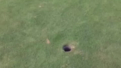 When Your Friends Shooting For His First Eagle.(watch till end)