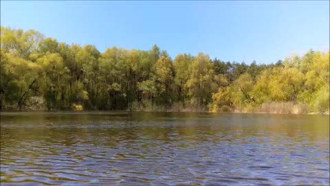 Lake Ambience