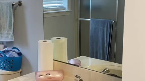 Our Bathroom Remodel