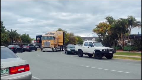 To me, the crew-cut king Kenworth 200 looks like a bumblebee