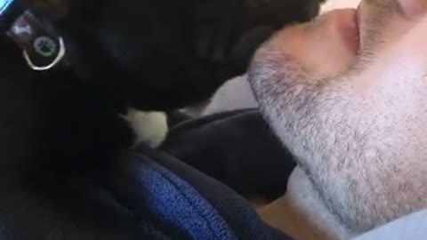 Dog Finds Dad's Beard is Good for Scratches