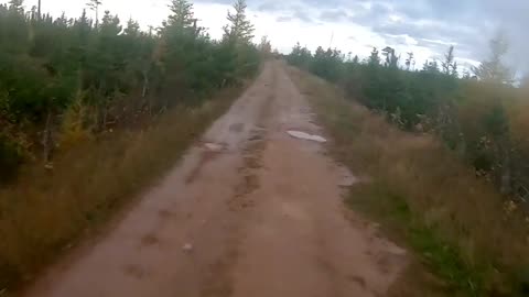 Fun trail