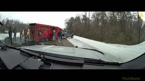 Dashcam shows a wayward horse running on a Tennessee highway before being captured