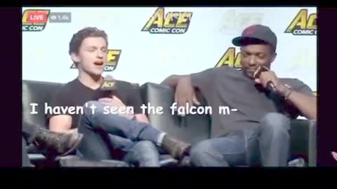 Tom Holland disgraces Anthony Mackie on National TV