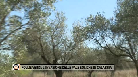 237 - 3 Gennaio 2024 - Follie verdi: l'invasione delle pale eoliche in Calabria
