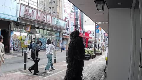 pretty Japanese girls scream so loud! BUSH MAN prank ( tenjin fukuoka japan )