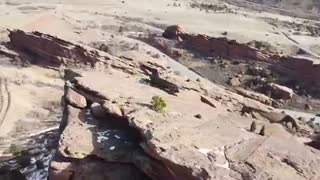 Tree on Top of Red Rocks Amphitheater