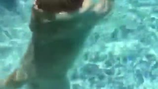 Dog walks likes a human in pool