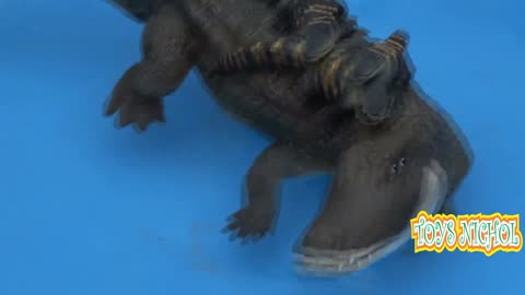 Large Crocodile Stalking People Riding Speed Boat in the Reservoir