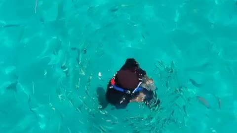 A person snorkeling in a turquoise water with reef