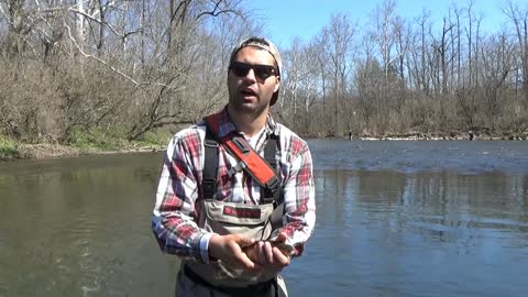 Fly Fishing Early Season Tulpehocken Creek 2016