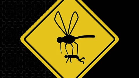 HEALTH ALERT 💥 2nd Case Of Dengue Fever Confirmed in California