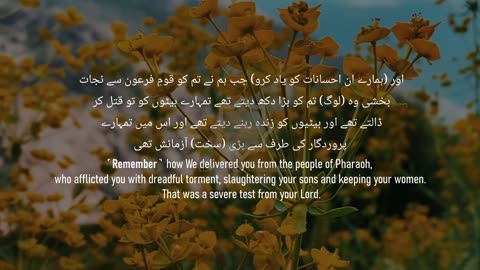 Surah Al-Baqarah 41-50 | 002 | سورة البقرة | For Relaxation and Calming Soul | Beautiful Recitation