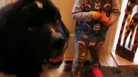 This little girl sings the happy birthday to her dog