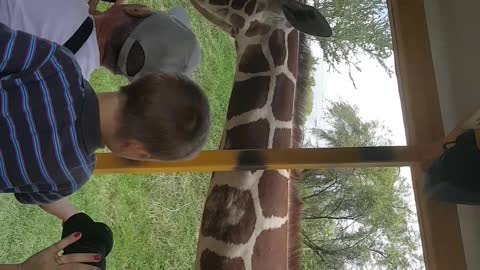 Fun with a giraffe
