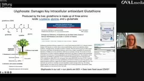 Glutathione Critical to Correct Immune System FUnction