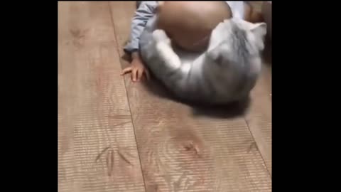 cat and baby playing