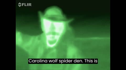 Thank you to Rumble-Fan Oversoul! Endo-Cam from Betty the Carolina Wolf Spider and me 🤠🕷☮💖🔵