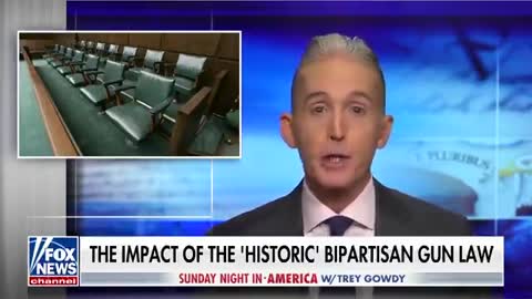 Trey Gowdy- What is the impact of the 'historic' bipartisan gun law