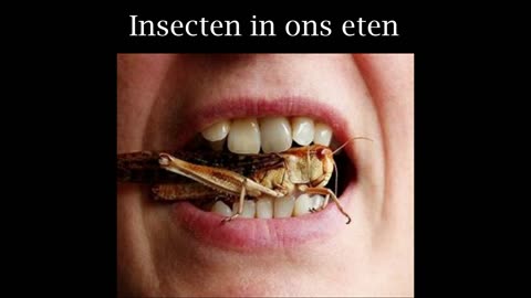 Insecten in ons eten