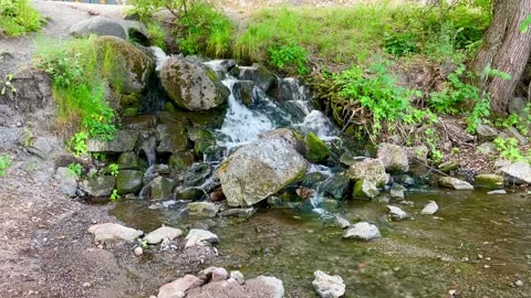 Forsen från Skansen rinner ut i Djurgårdskanalen❤️