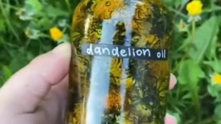 PICK SOME DANDELIONS TO MAKE THIS OIL! YOU'RE GOING TO NEED IT!