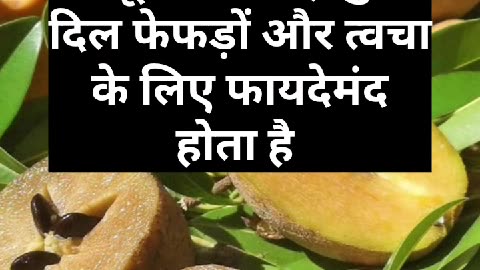 Benefits of eating sapota