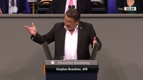 Stephan Brandner Rede vom 12.05.2022 (2) - Amtsausstattung des Bundeskanzlers nach der Amtszeit