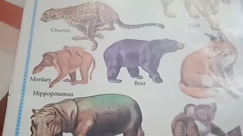 Learn Domestic Animals and wild animals For Education