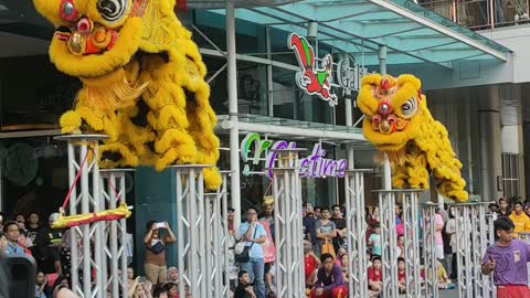 Stilt Dancers Wearing Dragon Costumes Celebrate the Coming of the Dry Season in Malaysia