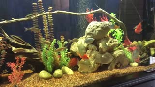 EIGHT FOOT AQUARIUM STAND