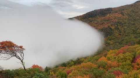 Clouds Encroach on Autumnal Scene