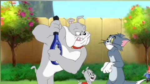 Tom and Jerry Lovers | Funny Cartoon Videos | Tom and Jerry