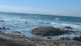 Asilomar State Beach