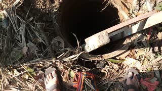 Dog Rescued from a Deep Dark Hole