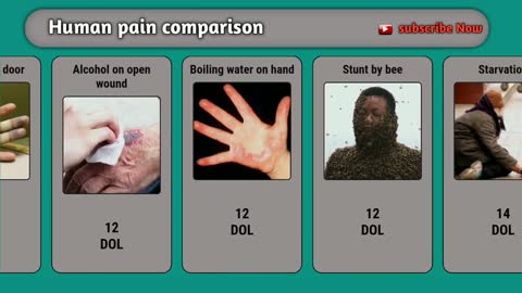 Human Pain Comparison