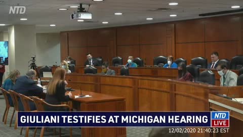 Monica Palmer's Testimony During Michigan Legislature Hearing on Election Fraud